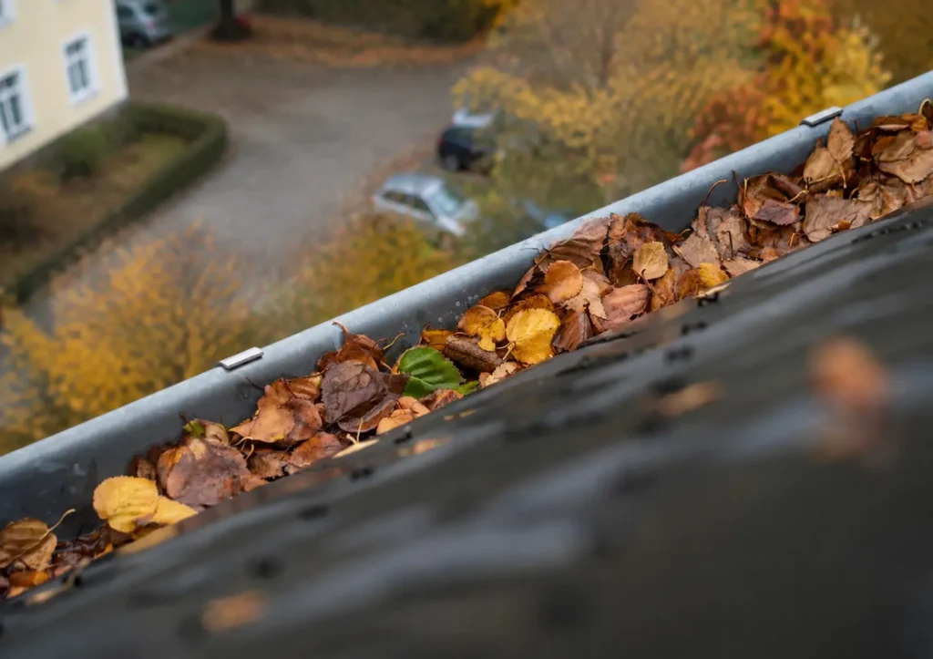 Hängränna som rensas från löv och skräp